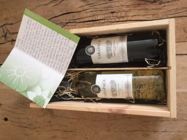 Persoonlijke ontwikkeling: - 